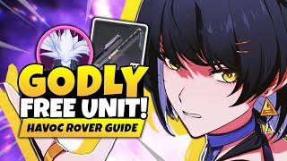 ROVER IS BROKEN! Full Havoc Rover Guide &amp; Build [Best Echoes, Weapons &amp; Teams] - Wuthering Waves