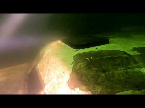 9. 10. 2022.  Schweriner See,  Kosies D I V E.