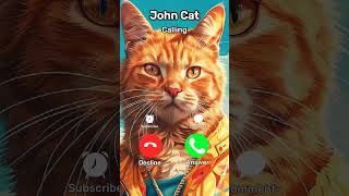 John Cat Calling You at 3 am... 🤣 Mega Cat #challenge #funny