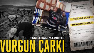 Tarladan markete sahte belgelerle kurulan vurgun çarkı nasıl işliyor?