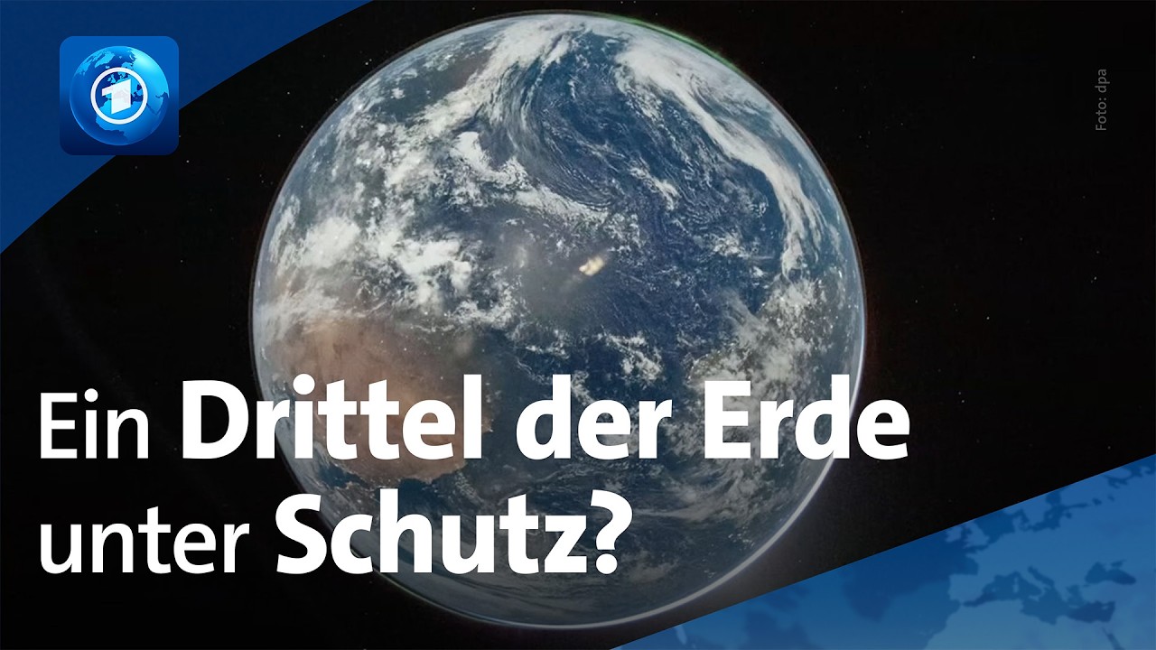 Weltnaturkonferenz COP17: Wie kann ein Drittel der Erde geschützt werden?