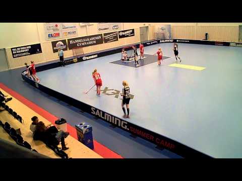 140316 Flickor S4 Mölndals IBF F98 - Lindås IBK DJ 2 (3-6) Per1