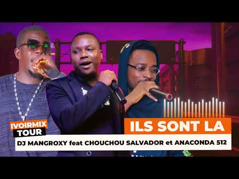 DJ MANGROXY feat CHOUCHOU SALVADOR et ANACONDA 512 - ILS SONT LA