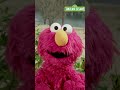 Elmo S Happy Birthday Message For Moshe Takalani Sesame