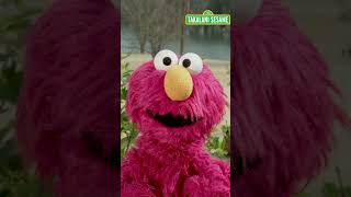 Elmo’s Happy Birthday Message For Moshe! | Takalani Sesame