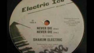 Shakim Electric - Never Die (Instrumental)