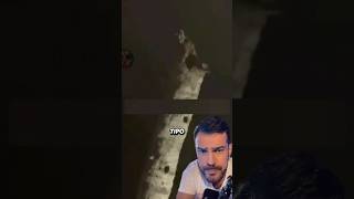 Bicho estranho no topo da árvore
