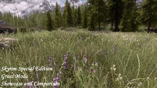 Skyrim SE - Grass Mods: A Detailed Showcase And Comparison - Verdant - Veydosebrom - Viscous Foliage
