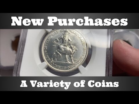New Purchases - A Variety of Coins
