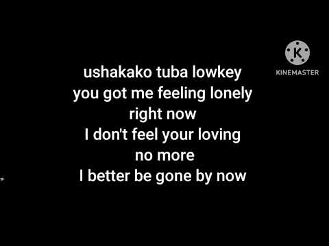 Lowkey lyrics by Kenny k shot ft nikita heaven