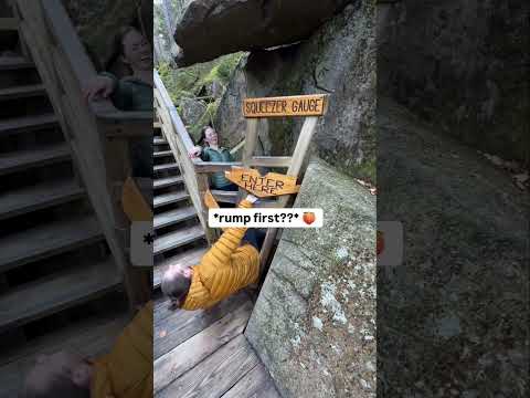 Tap sub, for more adventures 🤝