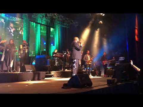 David A. Tobin - Cherish (Live)