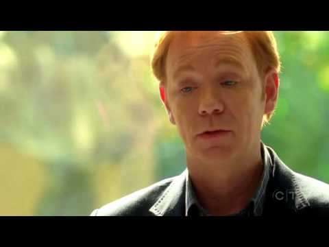 CSI Miami - To Catch a Predator - Chris Hansen...or maybe... Horatio Caine