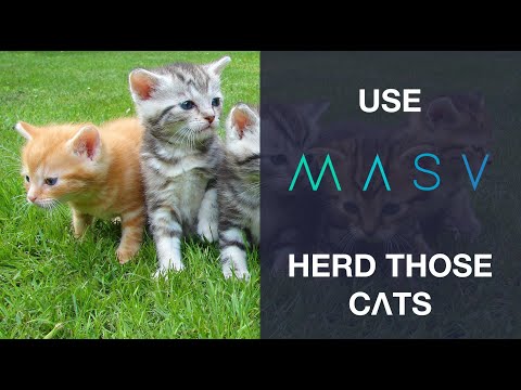 Quick Intro: Watch Folders in MASV App 2