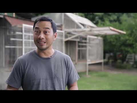 Alagang Magaling S1 Ep4 - Face The Fancier   John Lazatin