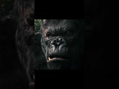 #Gorilla vs Dinosaur amazing fight😱#short video #Gorilla#
