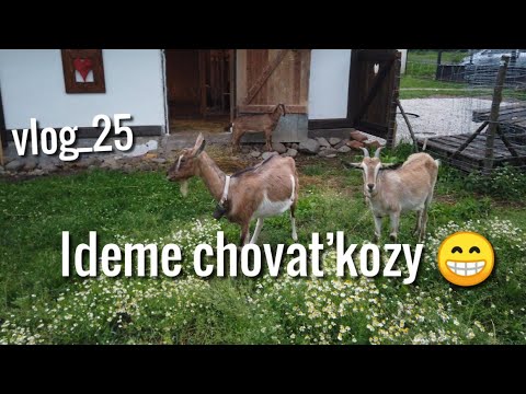 , title : 'Ideme chovať kozy - vlog_25'