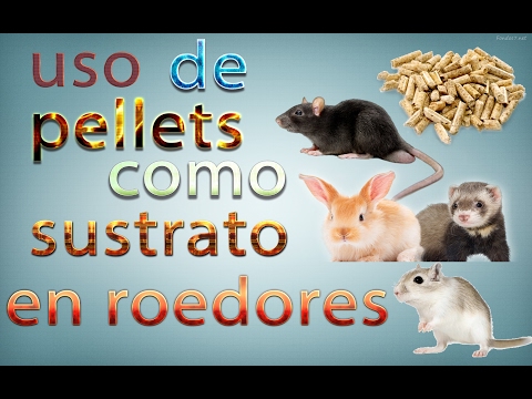 El uso de los pellets como sustrato en roedores