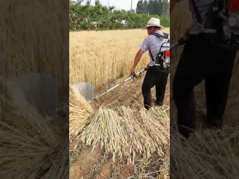 Dolphin Brush Cutter Paddy Harvester attachment