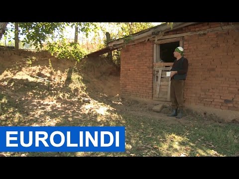 Shkokla - Jeta ne katun (Humor 2017) Eurolindi & ETC