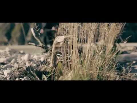 Fatih Esgi  Şehit Tahtında  (Official Music Video)