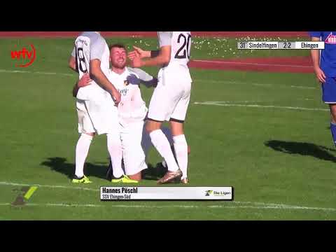 VfL Sindelfingen - SSV Ehingen-Süd, 2:2 durch Hannes Pöschl