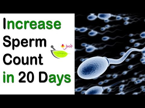 download lagu mp3 mp4 Isprm, download lagu Isprm gratis, unduh video klip Isprm