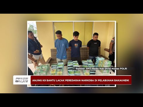 PRESISI UPDATE : ANJING K9 BANTU LACAK PEREDARAN NARKOBA DI PELABUHAN BAKAUHENI 17/03/23 13.00 WIB