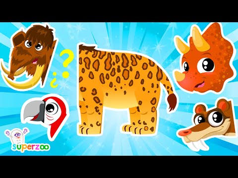NEW! 🐅🦕What kind of animal is the Saber-toothed tiger? Learn about prehistoric animals | Superzoo