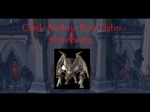 Castle Nathria (Normal): Shriekwing Fight