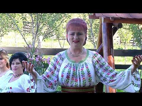 CAMELIA CONOVICI VULPOIU  - Mi- ai dat fata și băiat