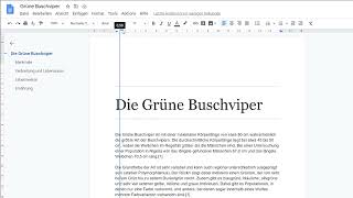 Google Docs: Absätze einrücken