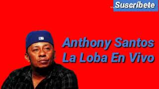 Anthony Santos La Loba En Vivo 20191