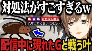 【まとめ】配信中に現れたGと８年ぶりに戦う叶ｗｗｗ【叶/にじさんじ切り抜き/ストグラ切り抜き】