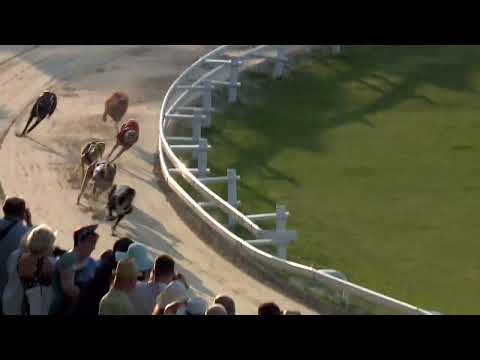 2023.06.30 5. FUTAM - KINCSEM PARK SPRINT DERBY DÖNTŐ