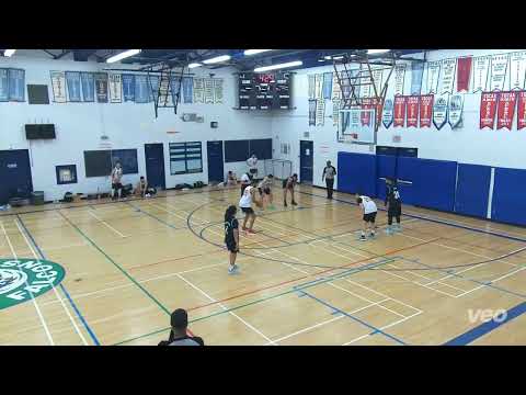 Three & D 2nd (38) tier 14 - SEMI FINALS Monarchs 3rd  (24) - tcbl sunday