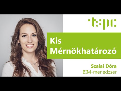 Kis Mérnökhatározó:BIM manager