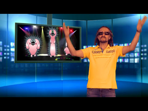 ТАРАС і ХОР - ЗАЯ