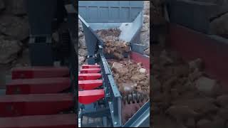 Venta de Kensan WOBBLER WB alimentador vibratorio - Imagen 6 | Machineryline MX Kensan WOBBLER WB alimentador vibratorio nueva | Imagen 6 - Machineryline