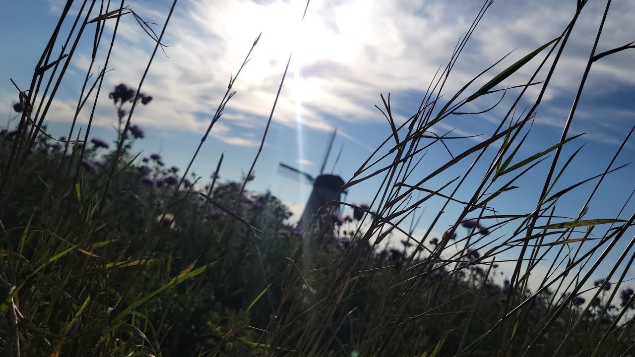 Slow Down and Breathe 🌿 | Aesthetic Nature Slow Motion with Motivational Quotes