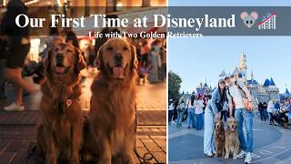 Our First Time at Disneyland 🐭🎢 | Birthday Badge, Parade Magic & Gamja & Chip’s Minnie Reaction 🥹