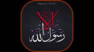 حالات واتس اب لبيك يا رسول الله ادعمنا بلايك من فضلك واشترك بل قناة ️ ️