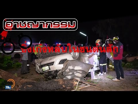 สาววิดีโอภายใต้อิทธิพลของเชื้อโรค การระดมทุนแรง