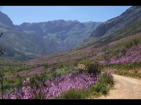 James Hitchmough, Professor of Horticultural Ecology University of Sheffield, UK - 11 May 2022