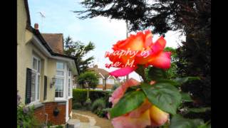 Wear my heart on my sleeve.