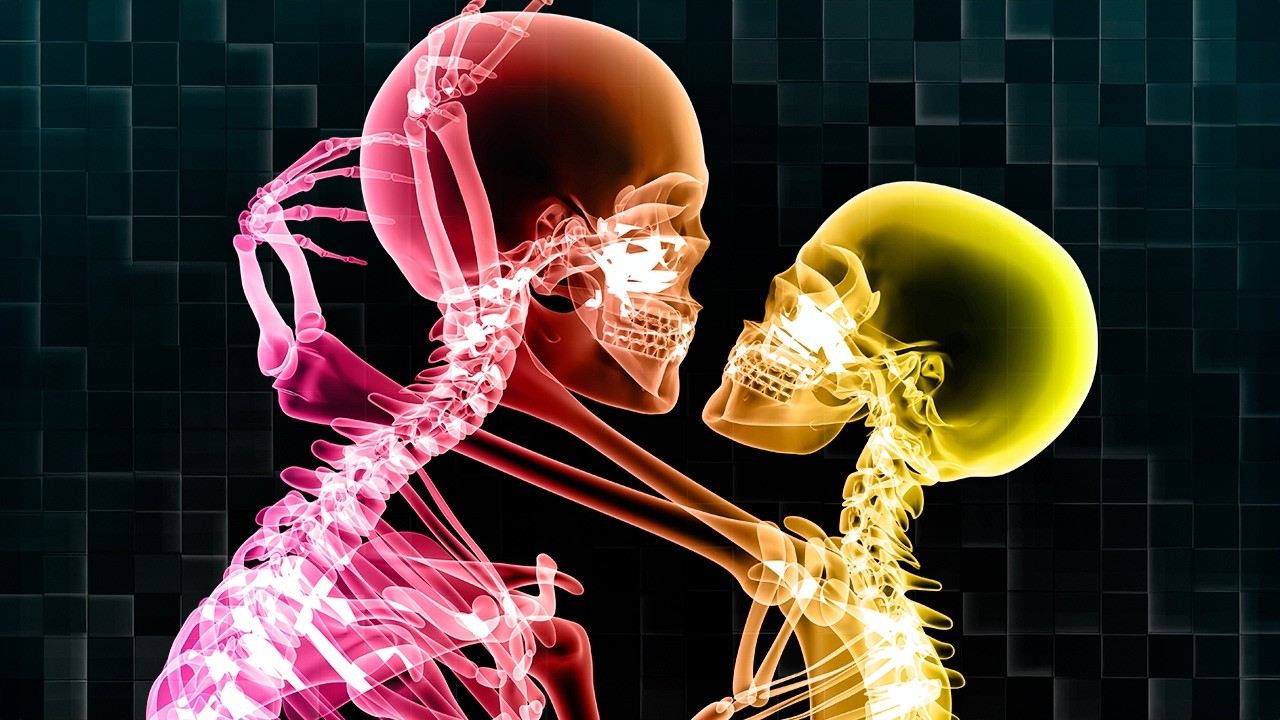 O que acontece no corpo durante o SEXO?