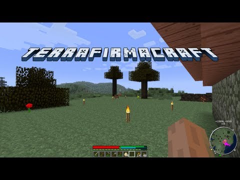 TerraFirmaCraft - Episode 18 - Baby boom