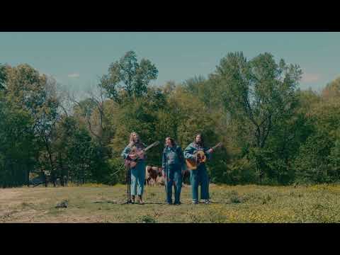 Lily Meola - Heartbreak Rodeo (Live Performance Video)