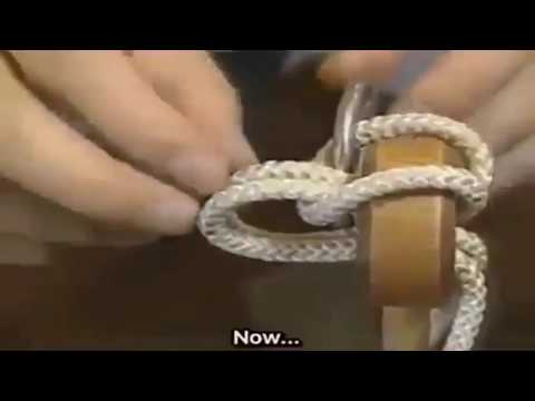 Impossible Ring and Rope Japanese Puzzle