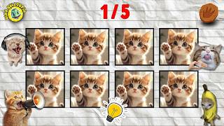 🗣️🔊🎵 DIGA A PALAVRA NA BATIDA! #15 #dinoquiztopia